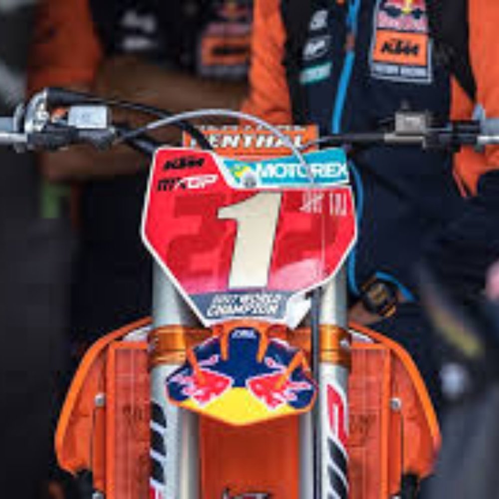 Meet your Posher, Haylie